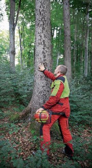 An den Tagen des Schweizer Holzes erlebt man die Wertschöpfungskette des Holzes vom Wald über die Sägerei bis zum Endprodukt. (Bilder: pd)