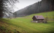 Der Weierweidbach im Tal der Demut soll offengelegt werden. Dem Naturschutzverein geht das nicht schnell genug. (Bild: Ralph Ribi)