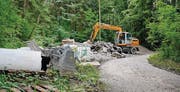Der Wald oberhalb des Schulhauses Steig in Rorschacherberg wird als Lagerplatz für Bauschutt verwendet. (Bild: Henrik Jochum)