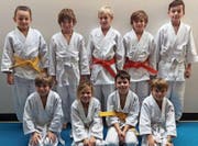 Erfolgreich schnitten die Judokas des JJJC Rheintal am Turnier in Ruggell ab. (Bild: pd)