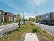 Baumreihen prägen die neue Kantonsstrasse in Arbon. Sie verbindet den Stahelplatz (oben links) mit der neuen Stadtmitte am Bahnhof und dem Areal Saurer Werk 2 (unten rechts). (Bilder: Hanspeter Schiess)