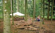 Zurzeit nehmen sieben Familien mit jeweils 10 bis 15 Kindern aus dem Necker- und dem Thurtal an den Eltern-Kind-Treffen teil. (Bild: pd)