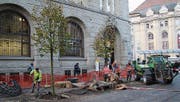 Zur Aufwertung des umgestalteten Bahnhofplatzes werden derzeit einzelne Bäume gepflanzt. (Bild: Katharina Schatton)