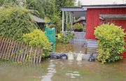 Der überschwemmte Campingplatz Marina Rheinhof in Altenrhein. (Bild: Rudolf Hirtl)