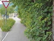 Wer seine Hecke nicht ordnungsgemäss zurückschneidet, kann von den Gemeinden in die Pflicht genommen werden. (Bild: Kurt Latzer)