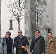 Meinrad Gschwend, Ruedi Mattle, Andreas Jung, Ivo Blöchlinger zeigen sich (v. l.) vor den beiden geschenkten Sommerlinden. (Bild: Damian Neuländner)