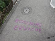 "Eidgenosse erwache", das Doppel-S mit Siegrunen ausgeführt: Schmiererei auf dem Sonnenweg beim Bahnhof Rorschach Stadt. (Bild: Leserfoto Adrian Keller)
