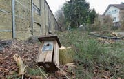 Anwohner und Naturschützer bemängeln den Kahlschlag beim Lärmschutz in St. Margrethen. Sie hätten dort gerne wenigstens ein paar Linden und Eichen behalten. Kritisiert wird auch die Kommunikation des Bundesamtes für Strassen (Astra). (Bild: Kurt Latzer)