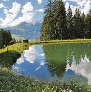 Der Speichersee Gültenweid soll erneuert und vergrössert werden. (Bild: Sabine Schmid)