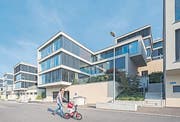 Birnbäumen St. Gallen (Bild: HANSPETER SCHIESS FOTOGRAFIE CH-)