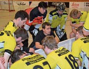 Trainer Simon Gugelmann erklärt den Gators-Spielern den Weg in die Playoffs. (Bild: Yves Solenthaler)