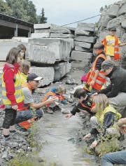 Froschfang im Teich: Unterstützt von Beat Haller, Leiter Abteilung Natur und Welt des Fachverbandes der Schweizerischen Kies- und Betonindustrie FSKB, suchen Schulkinder im Teich nach Tieren und Pflanzen. (Bild: Gisela Tobler)