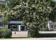 Gutes Bauen Ostschweiz, Wechselflorrabatten und Pärke: Ostfriedhof, Stadtpark, Brühl, Grabenpärkli, Leonhardspärkli. (Bild: Hanspeter Schiess)