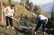 Junioren des FC Winkeln helfen mit, den Zu- und Abfluss zum Amphibienweiher im Schaugenrain instand zu stellen. (Bild: pd/Naturschutzverein Stadt St. Gallen)