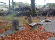 Entsorgte Maschinen im Wald. (Bild: Kapo TG)