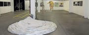 In der Galerie art dOséra in Diepoldsau stellen zurzeit 24 Künstlerinnen und Künstler aus dem Vorarlberg aus. (Bild: Susi Miara)