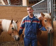 Andreas Kübler kümmert sich an der Olma um Tiere, die alle aus Lichtenstein kommen. So auch diese beiden Haflinger. (Bild: Sheila Eggmann)