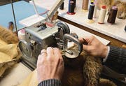 Der Bekleidungsgestalter näht die einzelnen Rotfuchspelze fachgerecht zusammen.