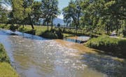 Der Rheintaler Binnenkanal bei den «Drei Brücken». (Bilder: Monika von der Linden)