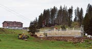 Auf der Alp «Hinterer Zwei Gemmer» auf der Schwägalp entsteht ein neuer Kuhstall. (Bild: Roger Fuchs)
