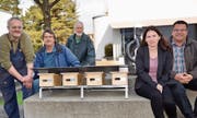 In diesen Nistkästen sollen die Mauersegler brüten. Montiert wurden sie mit weiteren Kästen auf dem Dach des Schulhauses Wyden. Die Beteiligten von links: Metallbauer Hubert Spirig, Forti Frei, Kurt Moor, Daniela Leuch, Menzi Muck Gruppe, und Bauverwalter René Altherr. (Bild: gk)