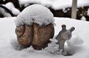 Ob Winter oder Frühling, diese Schnecke jedenfalls kann sich nicht eigenständig fortbewegen. (Bild: PD)