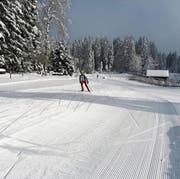 Noch ist nicht gespurt. Die Loipenbetreiber der Panoramaloipe im Scherb/Bendel warten noch auf etwas mehr Schnee. (Bild: PD)