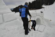 Viel Handarbeit ist nötig, um aus dem Schneehaufen die Toggenburg mit Tunnels und Rutschen zu bauen. (Bild: Sabine Schmid)