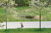 Zwei Tunnels unter der Demutstrasse sollen hier Kröten, Frösche und Molche künftig direkt zum Laichplatz, dem neuen Biotop, führen. (Bild: Hanspeter Schiess)