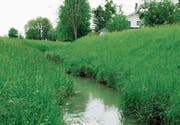 Bäche sind ökologisch wertvoll: Aubach in Eichenwies. (Archivbild: Max Tinner)