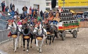 Auch dieses Jahr werden an der Pferdemesse wieder Brauereigespanne durch die Arena auf dem Olma-Areal fahren. (Bild: pd)