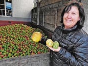 Susanne Kobelt-Weder mit einem Riesenapfel und zwei Zwillingsäpfeln. Im Hintergrund normales Mostobst. (Bild: Max Tinner)
