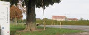 Holzvisiere markieren derzeit die Positionen und Dimensionen der geplanten Spielgeräte auf dem Areal der Primarschule Grund. (Bilder: Andrea Häusler)