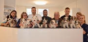 Acht Wochen nach dem freudigen Ereignis treffen sich die Hundewelpen und ihre Geburtshelfer wieder: Irene Stäbler, Silvia Heitmann, Elmer Ahrens, David Barsimon, Roland Habegger, Manuel Helg, Ueli Baechler und Celina Schai (von links). (Bild: Zita Meienhofer)