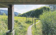 Die Einbeziehung der Natur gibt der Skulptur von Jürg Altherr eine zeitliche Dimension – inzwischen ist sie selber ein Stück Landschaft geworden. (Bilder: Hanspeter Schiess)