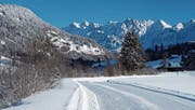Im Rietbad bei Ennetbühl ist die Säntisloipe bereits gespurt und für Sportlerinnen und Sportler offen. (Bild: PD)