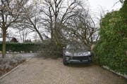 In Schaan stürzte ein Baum auf ein Auto. (Bild: Landespolizei FL)