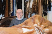 Johann Hofstetter zeigt eine Decke aus Rotfuchsfell, die in seinem Atelier genäht wurde. (Bilder: Zita Meienhofer)