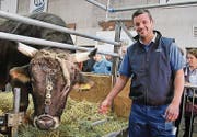 Sind die beiden Bosse im Olma-Stall: Muni Leo und Stallchef Beat von Rickenbach in der Halle 7. (Bild: Sheila Eggmann)