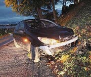 Das Auto kam in der Böschung zum Stillstand. (Bild: Kapo)