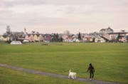 Die Stadt Gossau prüft derzeit, wie die Mooswiese noch stärker als Naherholungsgebiet genutzt werden könnte. (Bild: Urs Bucher)