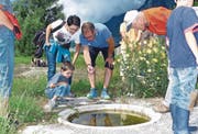 In kleinen Schlammtümpeln finden die Amphibien optimale Lebensbedingungen. (Bild: Ulrike Huber)