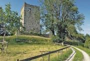 Schloss Blatten: Vor gut 200 Jahren in einem Feuergefecht zwischen Franzosen und Österreichern zerstört, aber heute noch Wahrzeichen der Gemeinde Oberriet. (Bild: Max Tinner)