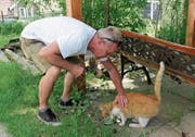 Hungrig ist sie: Diese Katze und eine weitere wurden vom fluchtartig verschwundenen Besitzer zurückgelassen. Christoph Schwabe bringt sie nach Nesslau ins Tierheim, wo sie vorübergehend umsorgt werden. (Bild: Martina Signer)