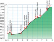 Profil KW 39 (Bild: Profil KW 39)
