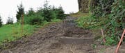 Wegen des vielen Regens und Schlamms mussten gestern Mittwoch die Arbeiten am Weg hinauf zur Burg unterbrochen werden. (Bild: Monika von der Linden)