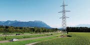 Monumentaler neuer Starkstrommast im Maisfeld bei Rüthi. (Bild: Anina Gächter)