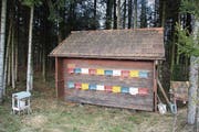 Dieses Bienenhaus im Lörwald wurde beschossen. (Bild: Simon Dudle)