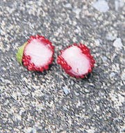 Innen ist die Frucht weiss.
