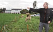 Kantonsrat Damian Gahlinger (SVP) kann nicht verstehen, dass die Dorfidylle einem Gewerbegebiet weichen soll. (Bild: Simon Dudle)